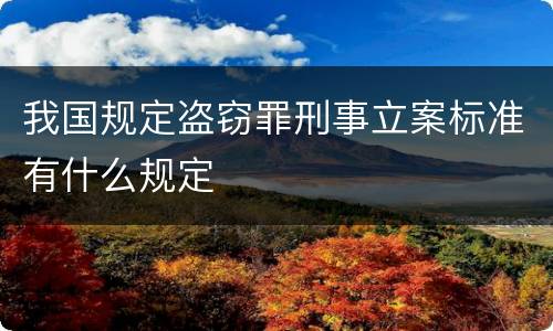 我国规定盗窃罪刑事立案标准有什么规定