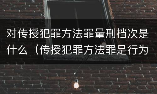 对传授犯罪方法罪量刑档次是什么（传授犯罪方法罪是行为犯吗）