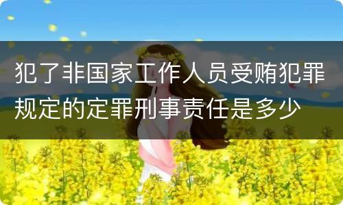犯了非国家工作人员受贿犯罪规定的定罪刑事责任是多少