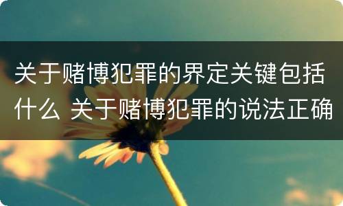 关于赌博犯罪的界定关键包括什么 关于赌博犯罪的说法正确的有