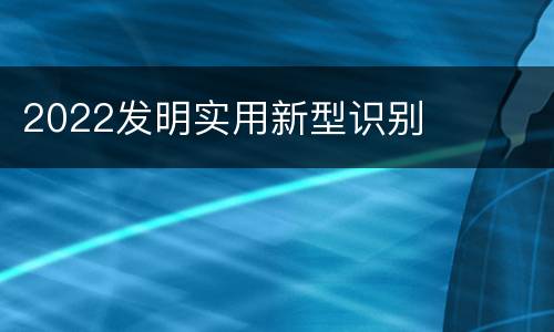 2022发明实用新型识别