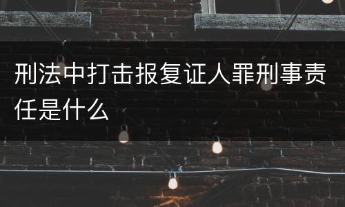 刑法中打击报复证人罪刑事责任是什么