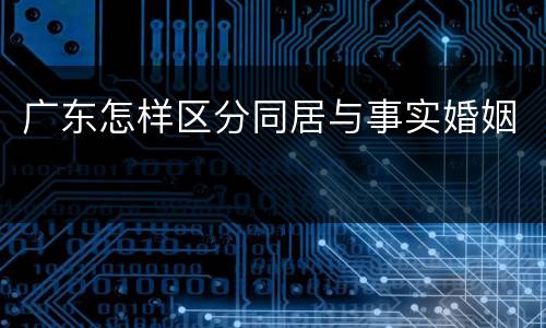 广东怎样区分同居与事实婚姻