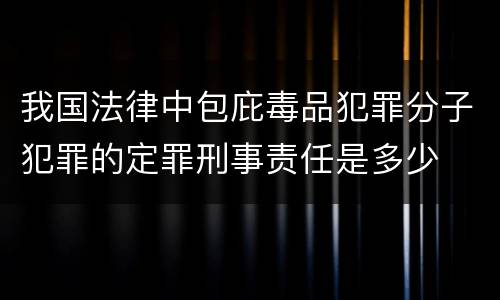 我国法律中包庇毒品犯罪分子犯罪的定罪刑事责任是多少