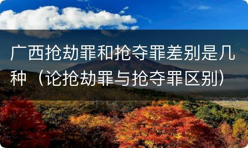 广西抢劫罪和抢夺罪差别是几种（论抢劫罪与抢夺罪区别）