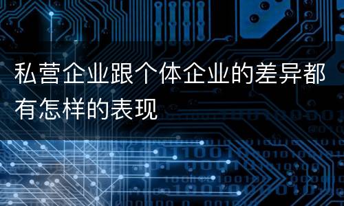 私营企业跟个体企业的差异都有怎样的表现