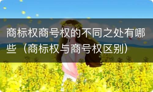 商标权商号权的不同之处有哪些（商标权与商号权区别）