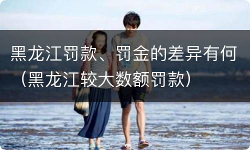 黑龙江罚款、罚金的差异有何（黑龙江较大数额罚款）