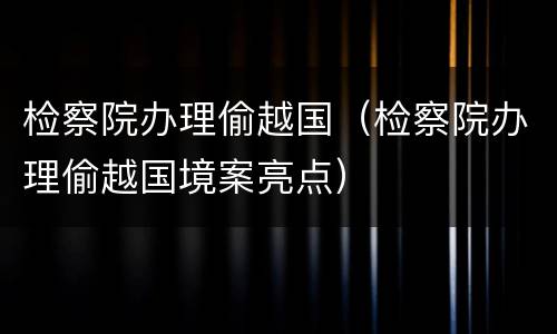 检察院办理偷越国（检察院办理偷越国境案亮点）
