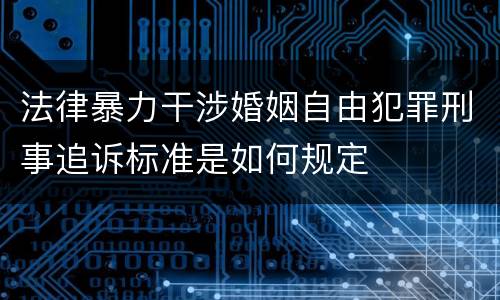 法律暴力干涉婚姻自由犯罪刑事追诉标准是如何规定