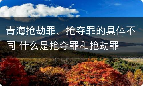 青海抢劫罪、抢夺罪的具体不同 什么是抢夺罪和抢劫罪