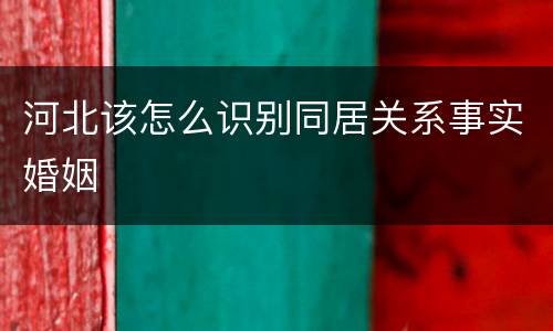 河北该怎么识别同居关系事实婚姻