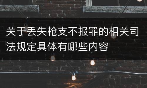 关于丢失枪支不报罪的相关司法规定具体有哪些内容