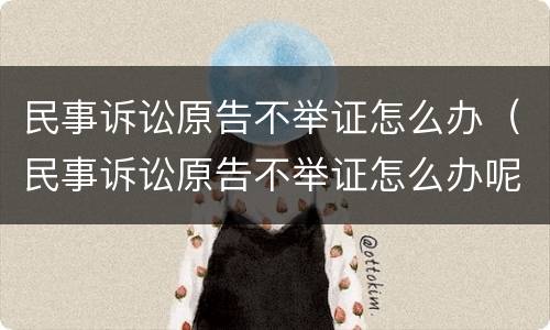 民事诉讼原告不举证怎么办（民事诉讼原告不举证怎么办呢）