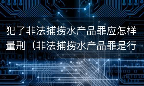 犯了非法捕捞水产品罪应怎样量刑（非法捕捞水产品罪是行为犯吗）