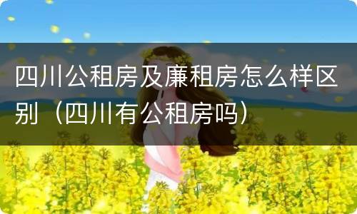 四川公租房及廉租房怎么样区别（四川有公租房吗）