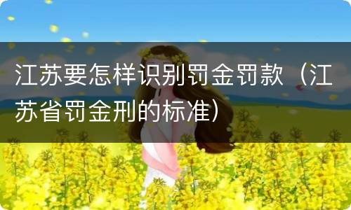 江苏要怎样识别罚金罚款（江苏省罚金刑的标准）