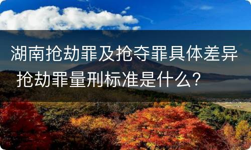 湖南抢劫罪及抢夺罪具体差异 抢劫罪量刑标准是什么?