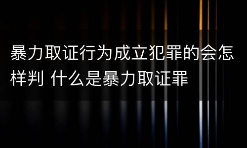 暴力取证行为成立犯罪的会怎样判 什么是暴力取证罪