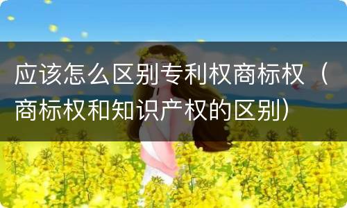 应该怎么区别专利权商标权（商标权和知识产权的区别）