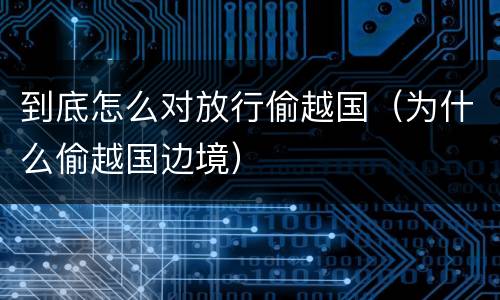 到底怎么对放行偷越国（为什么偷越国边境）