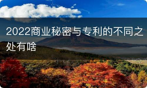 2022商业秘密与专利的不同之处有啥