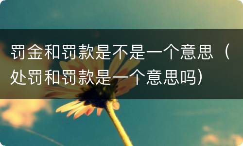 罚金和罚款是不是一个意思（处罚和罚款是一个意思吗）