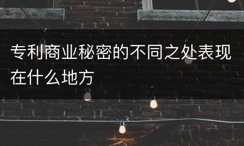 专利商业秘密的不同之处表现在什么地方