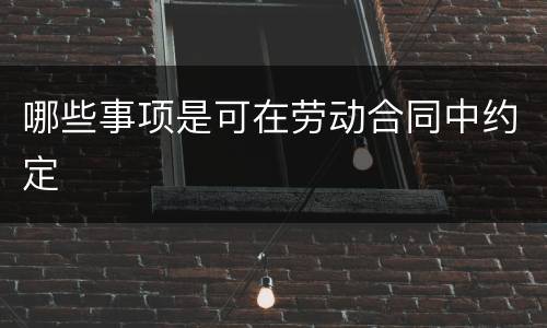 哪些事项是可在劳动合同中约定