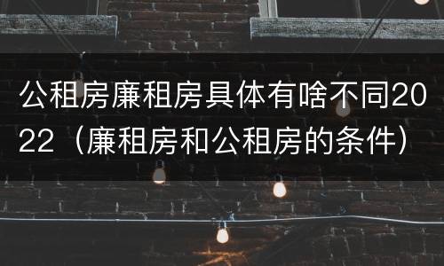 公租房廉租房具体有啥不同2022（廉租房和公租房的条件）