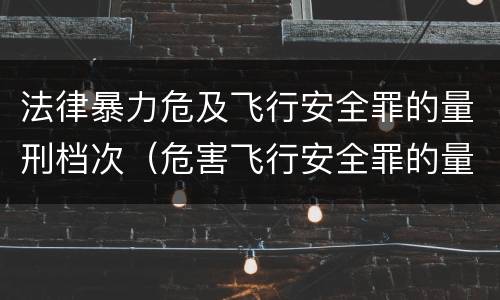 法律暴力危及飞行安全罪的量刑档次（危害飞行安全罪的量刑标准）