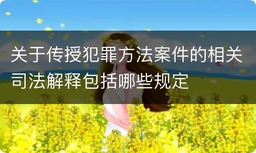 关于传授犯罪方法案件的相关司法解释包括哪些规定