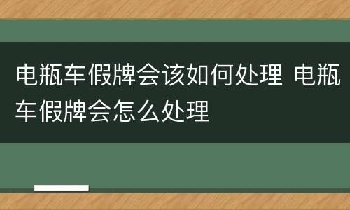 电瓶车假牌会该如何处理 电瓶车假牌会怎么处理