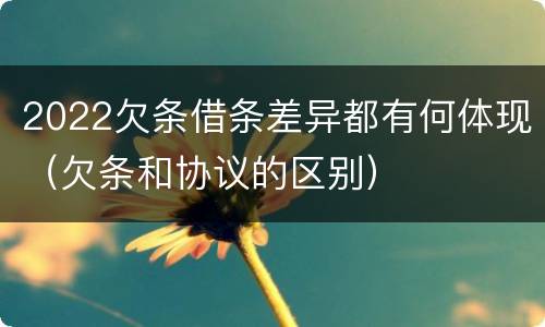 2022欠条借条差异都有何体现（欠条和协议的区别）