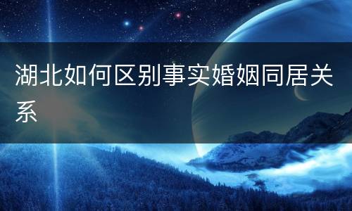 湖北如何区别事实婚姻同居关系