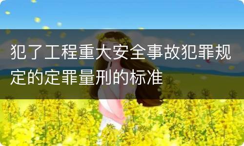 犯了工程重大安全事故犯罪规定的定罪量刑的标准