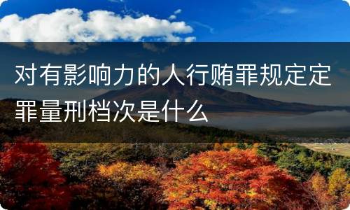 对有影响力的人行贿罪规定定罪量刑档次是什么
