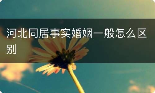 河北同居事实婚姻一般怎么区别