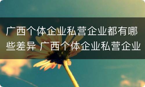 广西个体企业私营企业都有哪些差异 广西个体企业私营企业都有哪些差异呢