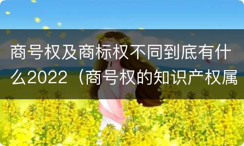 商号权及商标权不同到底有什么2022（商号权的知识产权属性）