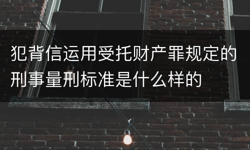 犯背信运用受托财产罪规定的刑事量刑标准是什么样的