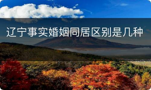 辽宁事实婚姻同居区别是几种