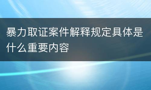 暴力取证案件解释规定具体是什么重要内容