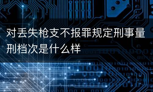 对丢失枪支不报罪规定刑事量刑档次是什么样