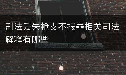 刑法丢失枪支不报罪相关司法解释有哪些