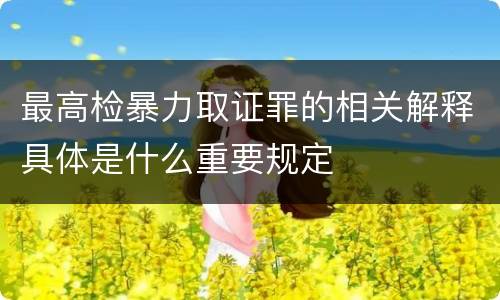 最高检暴力取证罪的相关解释具体是什么重要规定