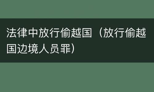 法律中放行偷越国（放行偷越国边境人员罪）