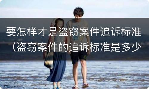 要怎样才是盗窃案件追诉标准（盗窃案件的追诉标准是多少）