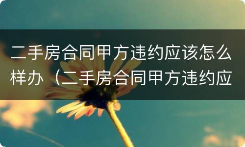 二手房合同甲方违约应该怎么样办（二手房合同甲方违约应该怎么样办理）