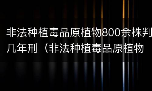 非法种植毒品原植物800余株判几年刑（非法种植毒品原植物量刑）